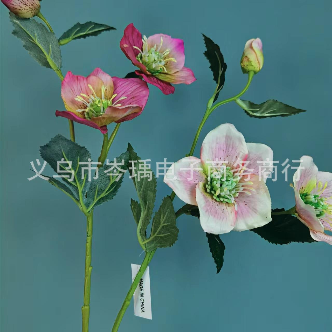 微信图片_20220608110059.jpg