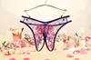 Fabricantes de Panties al por mayor suministro de malla transparente bordada Sexy para Mujer con Abertura transpirables cómodas panties 251