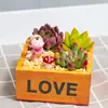 Pacote de Combinação de Suculentas em Vaso Conjunto de Cerâmica para Suculentas Combinação Incluindo Vaso e Terra Material para Vaso DIY Frete Grátis
