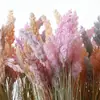 Plantas Simuladas de Juncos e Taboas, Decoração de Paisagismo de Plantas Estilo Floresta, Flores Simuladas de Juncos e Taboas