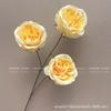 Rosa Austin de Três Cabeças Rosa Búlgara Arranjo de Flores para Casamento Adereços para Fotografia Arranjo de Flores Rosa Decorativa