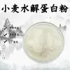 Pó de Proteína de Trigo Hidrolisada Malha 80 Matéria-Prima Grau Alimentício Extrato de Trigo Extrato Vegetal em Pó em Estoque com Frete Grátis