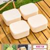 Set de Lonchera de Frutas Grado Alimenticio Estilo Camping al Aire Libre Caja para Picnic Portátil Almacenamiento de Frutas y Verduras Caja Sellada