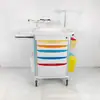 Carrito de Instrumentos de Doble Tirador y Doble Capa, Carrito de Tratamiento con Doble Cubo de Residuos, Carrito de Infusión para Pacientes Externos, Carrito de Tratamiento Doble Cubo Abf, Carrito de Emergencia