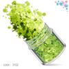 Kit de Unhas Verdes Transfronteiriço 12 Cores Misturadas Lantejoulas para Nail Art Laser Pó Escarlate Joias para Nail Art Broca Adesivo para Unha