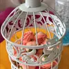 Jaula de pájaros decorativa ahuecada para patio, accesorios rústicos para bodas, adornos de jardín, jaula de pájaros, jaula de pájaros de hierro forjado, balcón de hierro para exteriores