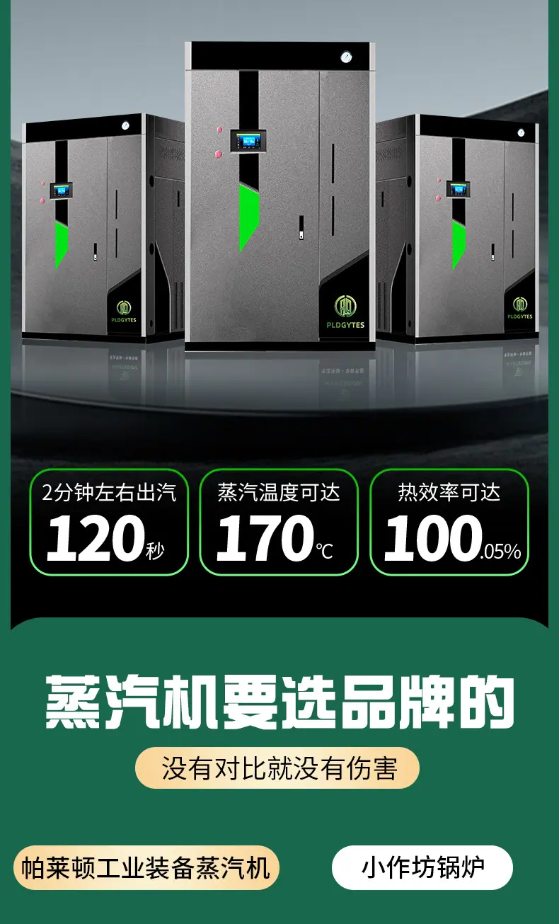 燃气蒸汽发生器_05.jpg
