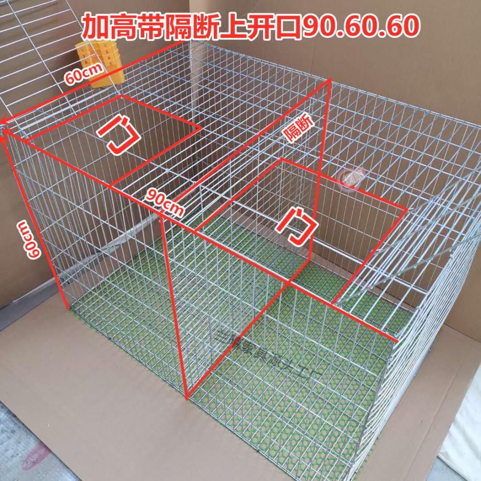 ed332254-b6b3-409b-b0e0-b821dc5a50c1.jpg