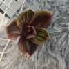 Flor Simulada Celebridad de Internet Xiaohongshu Souvenir Silicona Algodón Huihua Primera Suministro Extranjero Regalo de Boda Decoración Venta al por Mayor