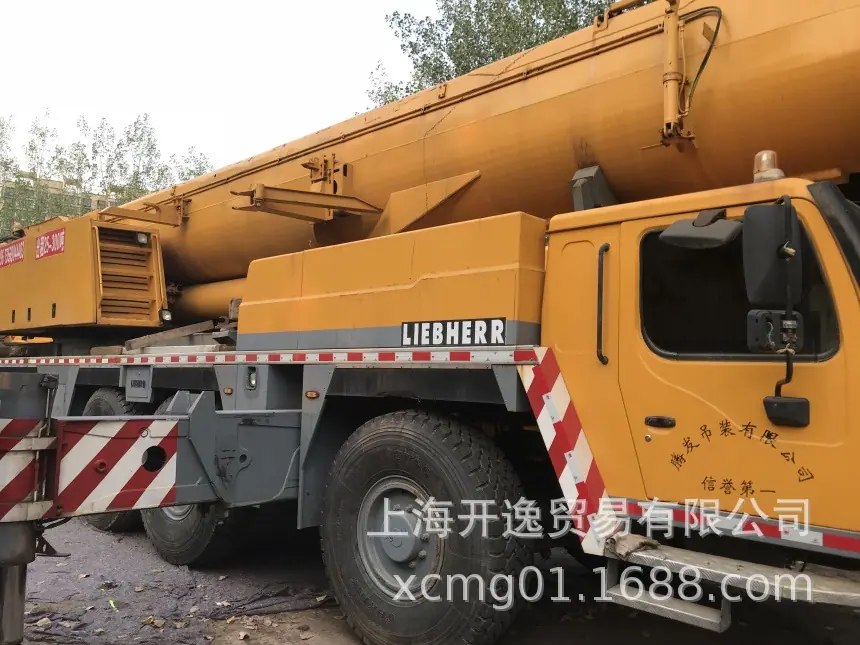 300t crane (20)