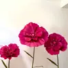Decoração de Janela Vermelha da Moda Suporte de Casamento Arte em Papel Flor Foto Estúdio Fotografia de Publicidade de Revista Arranjo Corredor de Casamento Adereços