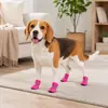 Zapatos para perros cuidadosamente seleccionados para Teddy, Pomerania y perros pequeños, zapatillas deportivas de suela blanda, transpirables, suaves, fáciles de poner, antideslizantes, de malla