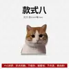 Pegatina para coche meme de gato Hakimi, celebridad de internet, divertido dedo medio, decoración de coche personalizada impermeable