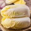 Nueva Variedad de Semillas de Repollo Baby Dorado de Cuatro Estaciones, Semillas de Repollo Baby de Corazón Amarillo para Plantar en Primavera, Verano y Otoño