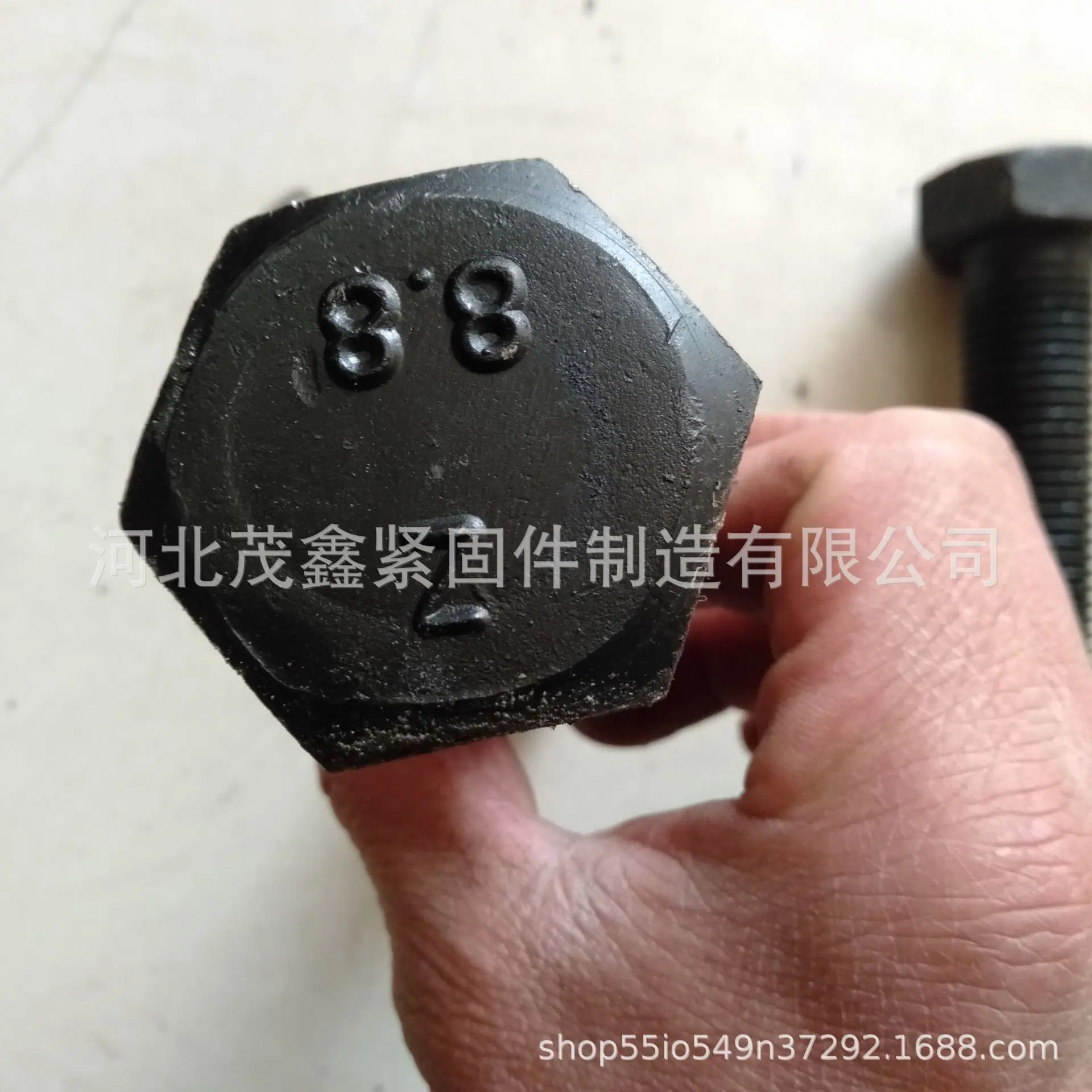 手机图片 206