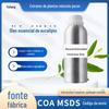 Óleo Essencial de Eucalipto Solteiro, Óleo de Folha de Eucalipto Azul, Refrescante e Revigorante, Desobstrui as Vias Aéreas, Purifica, Difusor de Aromaterapia