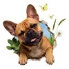 Adesivos de Cachorro 3D Estéreo Quebrando a Parede Novos Transfronteiriços para Sala de Estar Fundo de TV, Papel Adesivo Removível Atacado Personalização