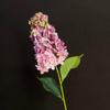 Color Degradado Borde Quemado Hortensia Pagoda Boda Adornos Decoración Hogar Floral Decoración Suave Paisajismo Arreglo Floral Hortensia Simulada
