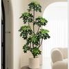 Planta de Simulación Madera Pie de Pato de Pie en Maceta Planta Verde Biónica Adornos Sala de Estar Lado del Sofá Decoración del Hogar Bonsái Árbol Falso