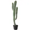 Planta Verde de Cactus Simulada en Maceta Planta Suculenta Tropical Combinación de Paisaje de Cactus Ventana de B&B Café
