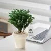 Plantas Pote Relaxantes Pinheiro Azul na Sala de Estar e Mesa de Escritório Ornamentos de Plantas Verdes para Purificar o Ar Plantas de Humor o Ano Todo