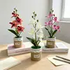 Quatro orquídeas Phalaenopsis artificiais estilo nórdico em vasos de tecido, flores artificiais e plantas verdes para bonsai de mesa, adereços de fotografia e itens decorativos
