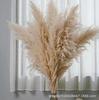 Grama dos Pampas Atacado Grama dos Pampas Grande Buquê de Flores Secas Ramo Alto Decoração Moderna Adereço para Foto de Casamento Grama dos Pampas Pampas