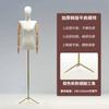 Coreia do Sul Loja de Roupas Adereços de Modelo Manequim Feminino Exposição de Vitrine Corpo Inteiro Peito Plano Ombro Reto Ombro Plano Suporte de Modelo de Boneca