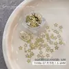 Accesorios para Uñas con Lentejuelas de Pentagrama Hueco Brillante, Modernos y Lujosos, Versátiles Pegatinas para Uñas de Estrella Láser Doradas y Plateadas