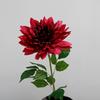 Flor Artificial de Dalia de Gama Alta Decoración para el Hogar Adornos de Flores Artificiales Decoración de Sala de Estar Flores Artificiales Hermoso Crisantemo Flores Artificiales Venta al por Mayor