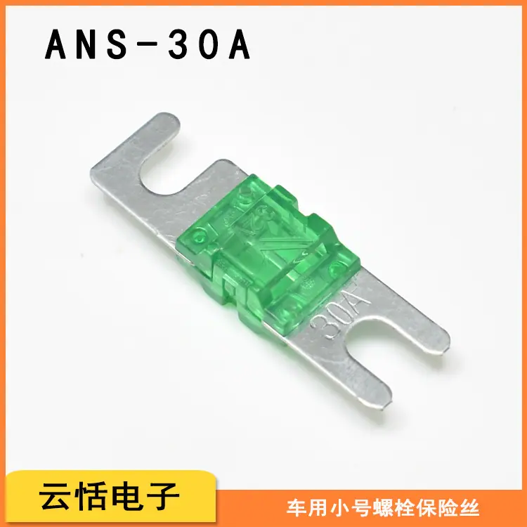 ANS30A.jpg