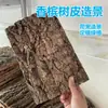 Tablero de Fondo con Corteza de Árbol de Champagne, Corteza de Árbol Real para Decoración de Paisajismo, Pared de Plantas Verdes, Tablero de Fondo para Terrario de Reptiles, Corteza de Alcornoque