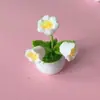 Produtos Acabados de Fronteira, Lã de Boneca Fofa Tricotada à Mão, Plantas em Vasos de Lírio-do-Vale, Flores Simuladas, Joias de Crochê, Móveis e Presentes para Casa