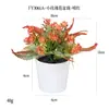 Más de 100 Tipos de Flores Artificiales y Plantas Verdes, Combinaciones de Plantas Artificiales en Maceta de Plástico, Flores Artificiales de Venta Caliente Transfronteriza, Mini Bonsáis Artificiales, Fuentes de Suministro