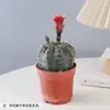 Plantas en maceta de cactus, suculentas, plantas pequeñas resistentes a la sequía, Filodendro, Dragón de Jade y otras plantas verdes anti-radiación para escritorio de oficina