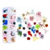 Set Nuevo de Flores Secas 3D Hortensia Narciso Copo de Nieve Margarita Pequeña Pegatinas para Uñas Estilo Japonés Arte de Uñas Flores Secas