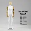 Tienda de Accesorios y Ropa para Modelos Masculinos de Gama Alta, Maniquíes de Exhibición de Cuerpo Completo para Ropa de Hombre con Cabezas y Manos Galvanizadas