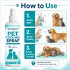 Kineshinex Spray Refrescante de Verano para Mascotas 100ml Refrescante y Cómodo después de Actividades al Aire Libre para Gatos y Perros
