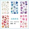 5 peças de adesivos PET transparentes com tema de oceano claro, estilo INS marinho, adequados para papelaria de conchas fresca e simples, garrafas de água e journaling DIY