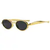 Gafas de sol de alta gama de moda con forma ovalada pequeña, nueva moda retro, populares entre las celebridades de internet para fotografía callejera, montura de plástico