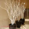 Ramas Secas, Ramas Muertas, Adornos de Rama Blanca, Troncos de Árbol con Forma, Ramas Simuladas, Ramas Falsas Secas, Venta Directa de Decoración