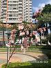 Apertura de edificio caja de luz de flor artificial arreglo floral caja de luz rosa decoración de fondo de camino de boda flor artificial al por mayor