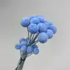 Buquê de flores secas DIY Bolas de ouro 20 ramos Enfeites de flores imortais Estilo escandinavo Material fotográfico decorativo Pacote Yunnan Fabricante