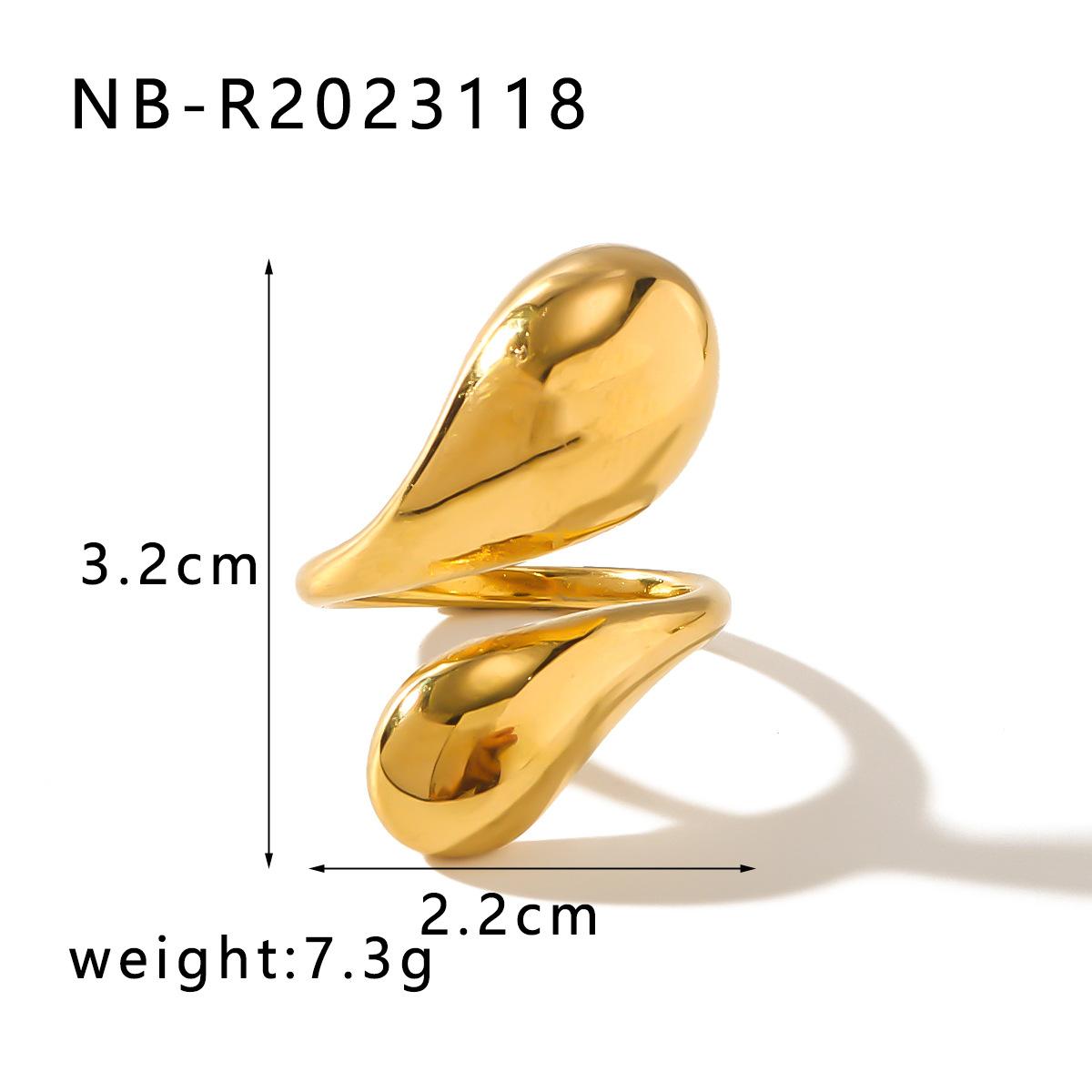 NB-R2023118