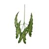 Planta Verde Artificial Hoja Grande de Taro Flor de Boda Arreglo Accesorios Material de Hoja Decoración de Arreglo de Flores para el Hogar Hoja de Planta Verde Artificial