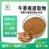 Extracto de Raíz de Bardana, Polvo de Bardana Completamente Soluble en Agua, Polvo de Raíz de Bardana Concentrado por Aspersión, Venta al por Mayor de Fábrica SC en Stock