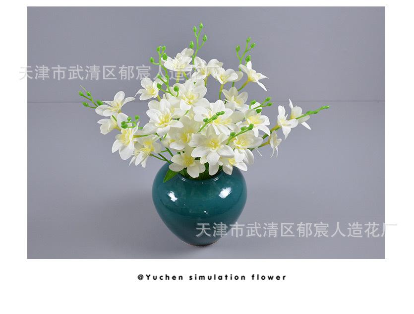 详情_12.jpg