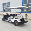 Carritos de Golf Eléctricos de 2 y 4 Asientos, Autobuses Lanzadera de Aeropuerto, Vehículos de Recepción de Resort, Carritos de Golf Eléctricos de Exportación