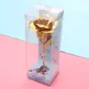 Embalagem Criativa Nova Caixa de Presente com Rosa Única Embalagem para Flores Caixa de Flores de PVC Caixa de Plástico Venda por Atacado