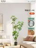 Plantas Verdes Artificiais de Alta Qualidade para Decoração de Sala de Estar, Planta Realista Falsa de Figueira-da-Índia Preta para Decoração de Sala de Transmissão ao Vivo